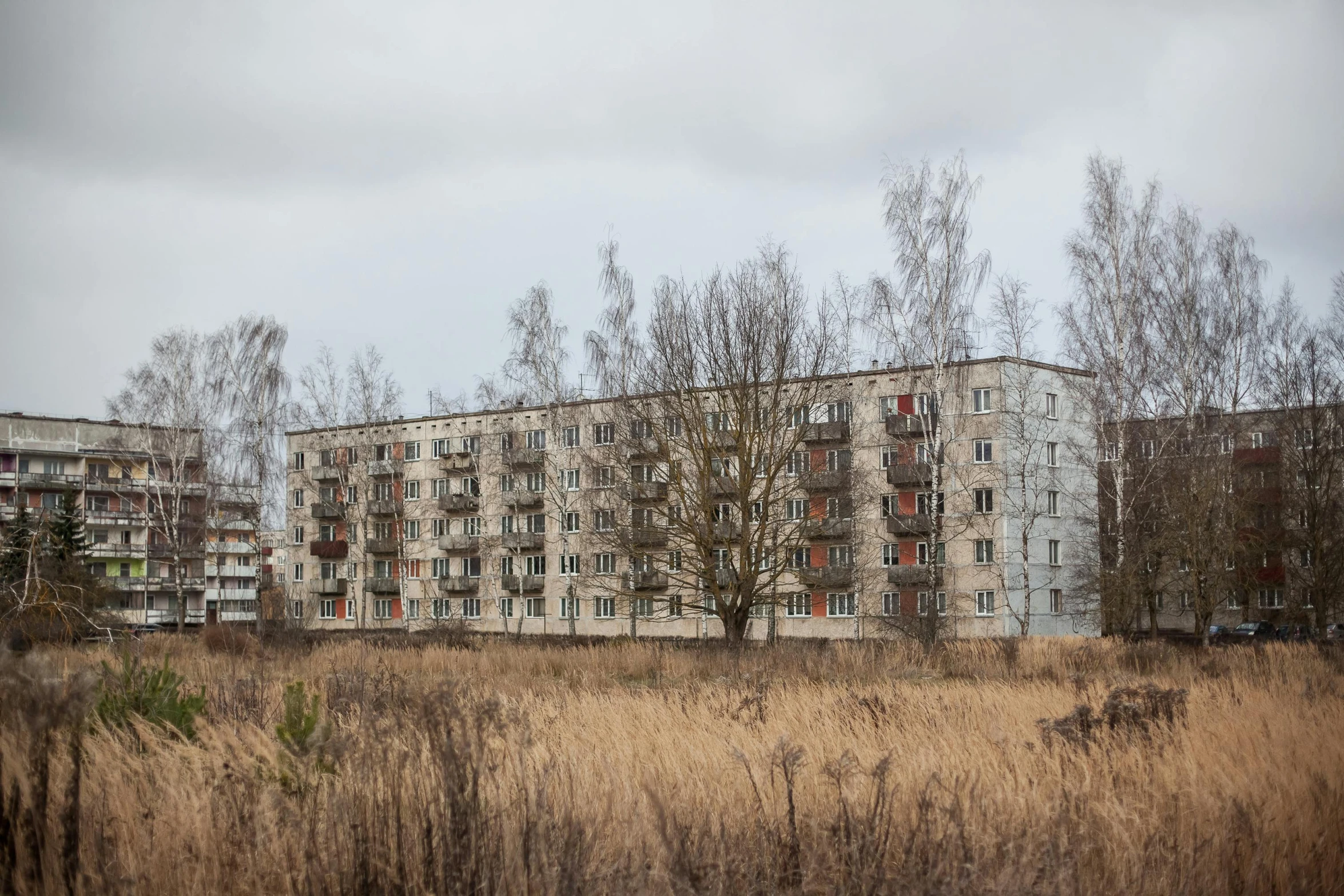 a huge abandoned apartment building in the countryside