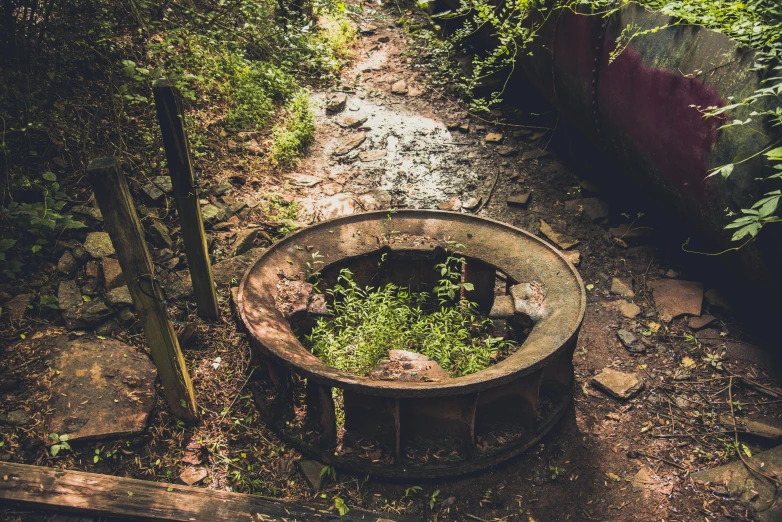 a muddy pathway in the woods with an old round watering tub next to it