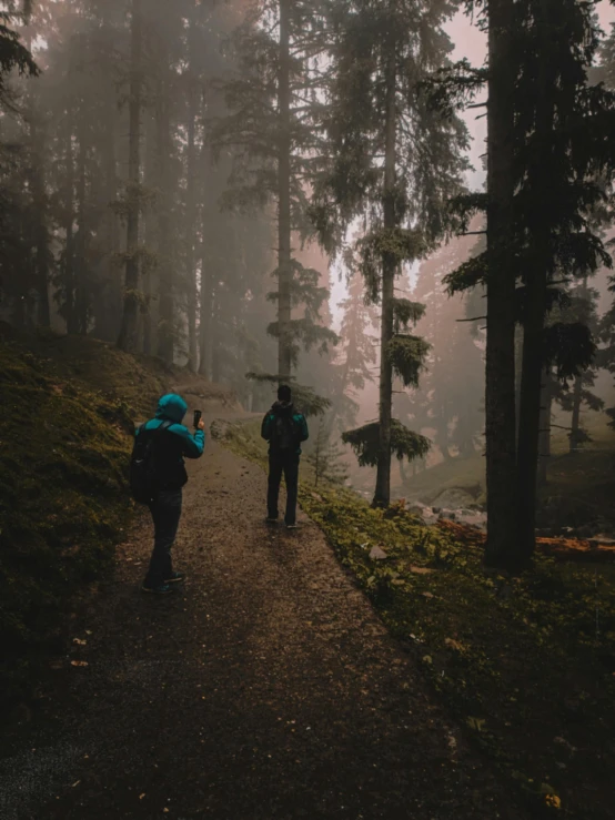 two people walking down a trail in the forest