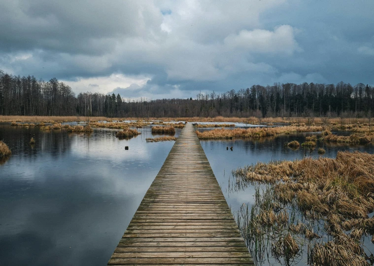 a wooden bridge that is suspended over some water