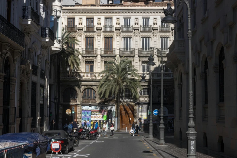 a small city street has palm trees in the middle