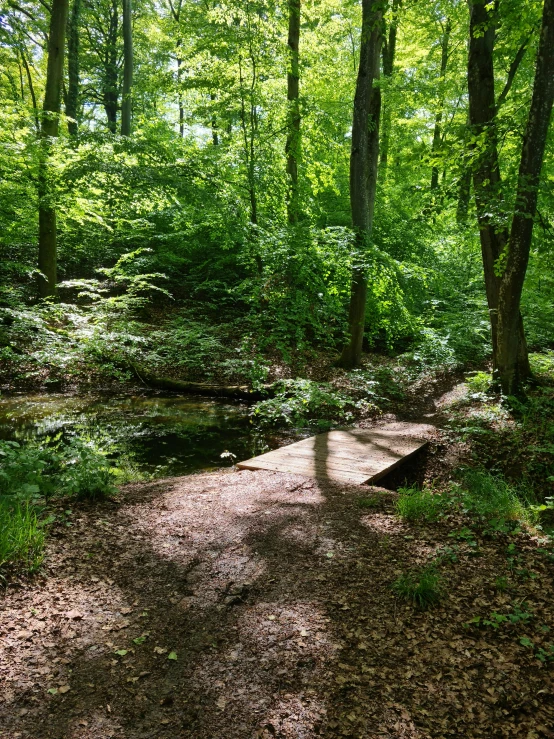 the walking path in the park is empty