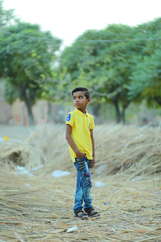 a  stands on the ground near the grass