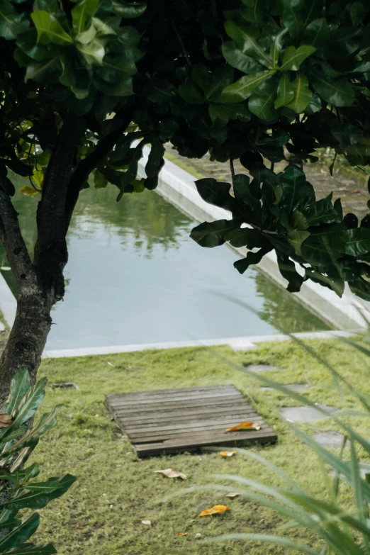 view of bench sitting on grass with lake in the back ground