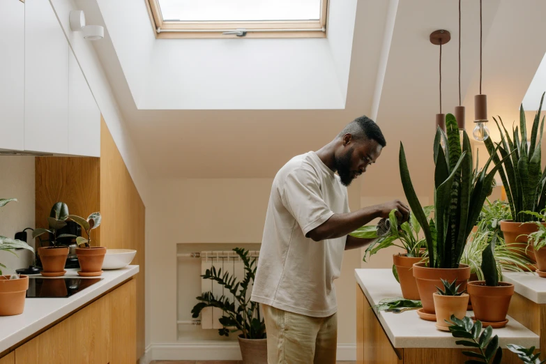 a man is working on a houseplant