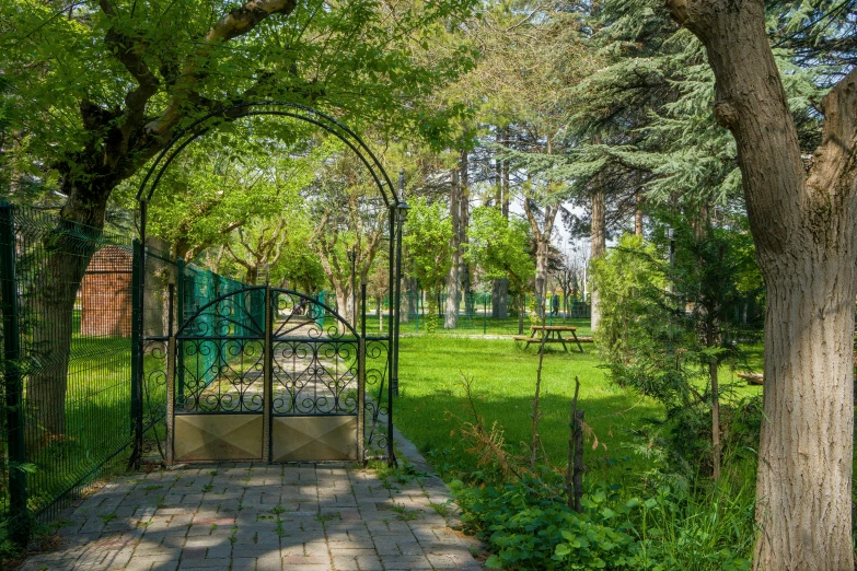 a pathway in a park with lots of trees