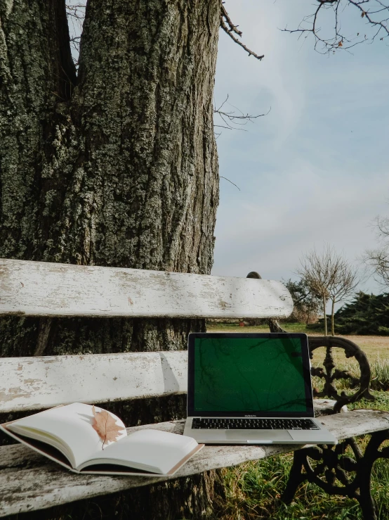 a book and laptop on a bench in front of a tree