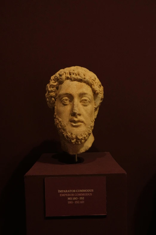 a bust of the roman historian and politician, with a plaque beside it that says, homer i know what he's doing