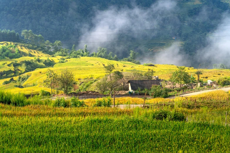 this is a picture of an countryside with mountains in the background