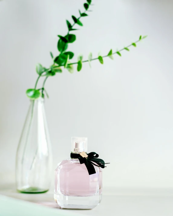 a bottle of perfume and some green plants