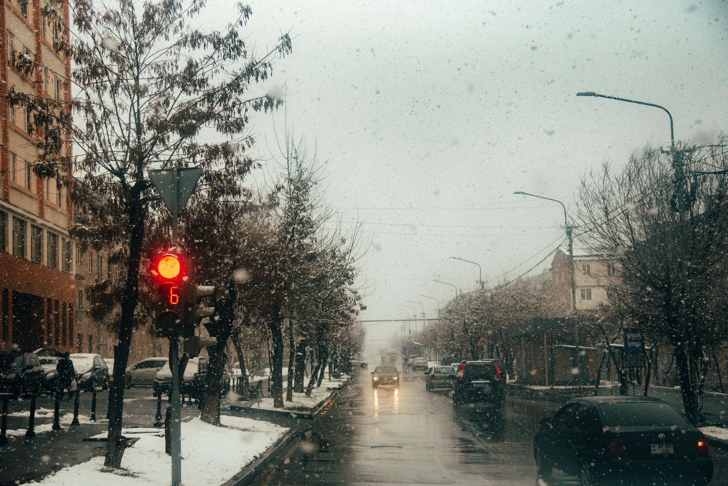 people with umbrellas ride in the rain down the street