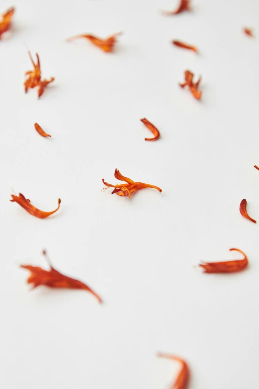 a group of dead leaves sitting on a table