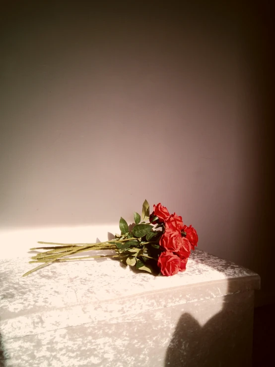 a bunch of flowers on a white counter