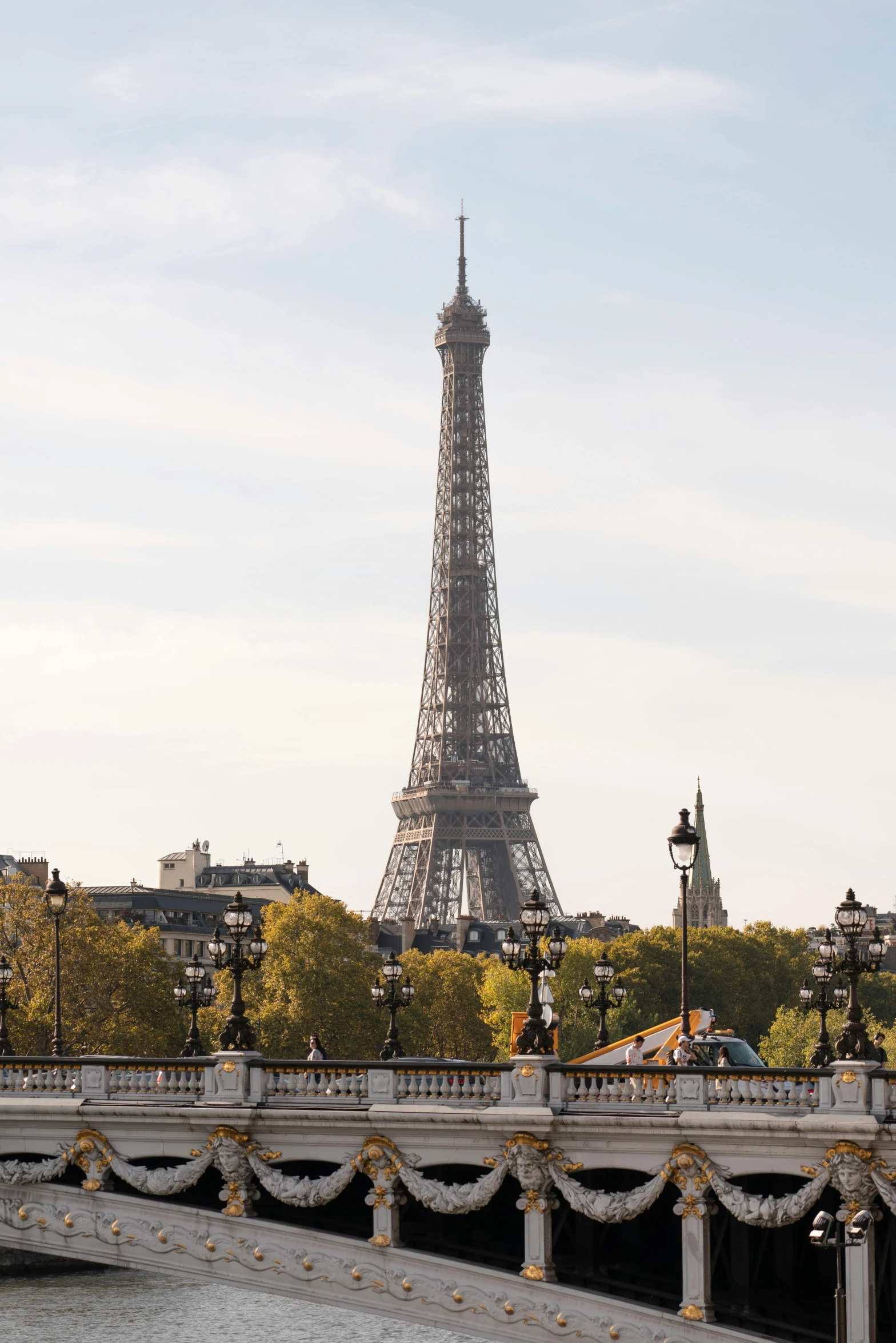the view of the eiffel tower from across the river