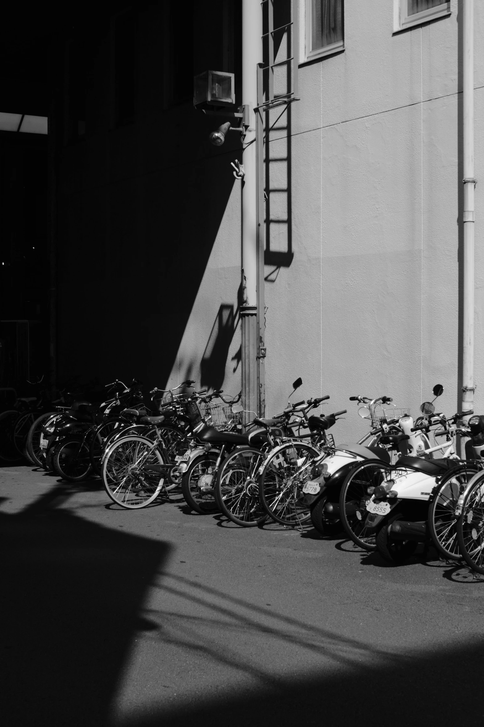 there are many bikes that have been lined up