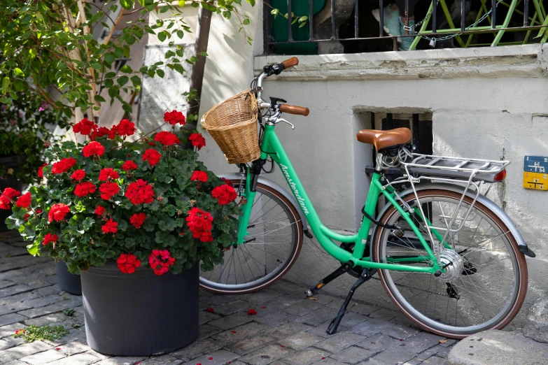 a green bike parked next to a plant
