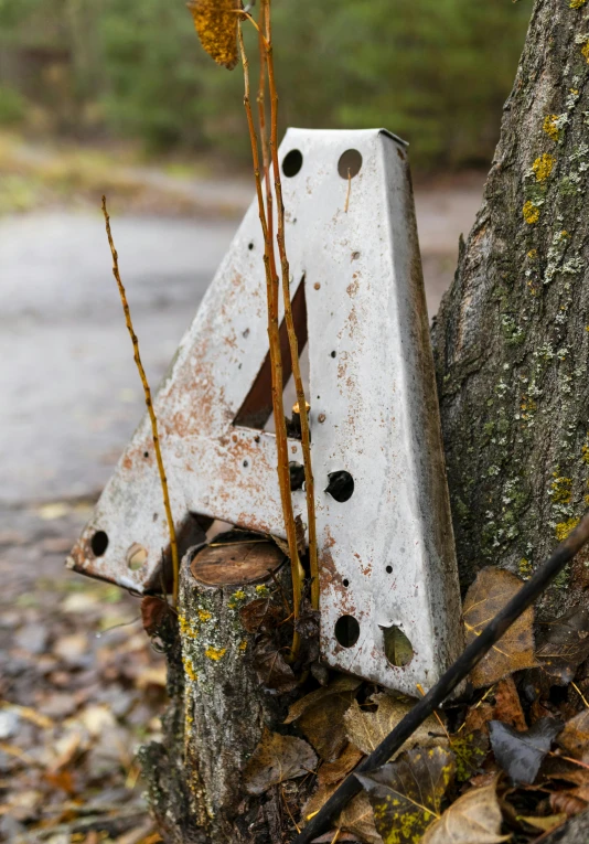 old, rusty, broken wooden signs on a fallen tree