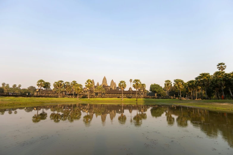 large lake and forest like landscape with palm trees