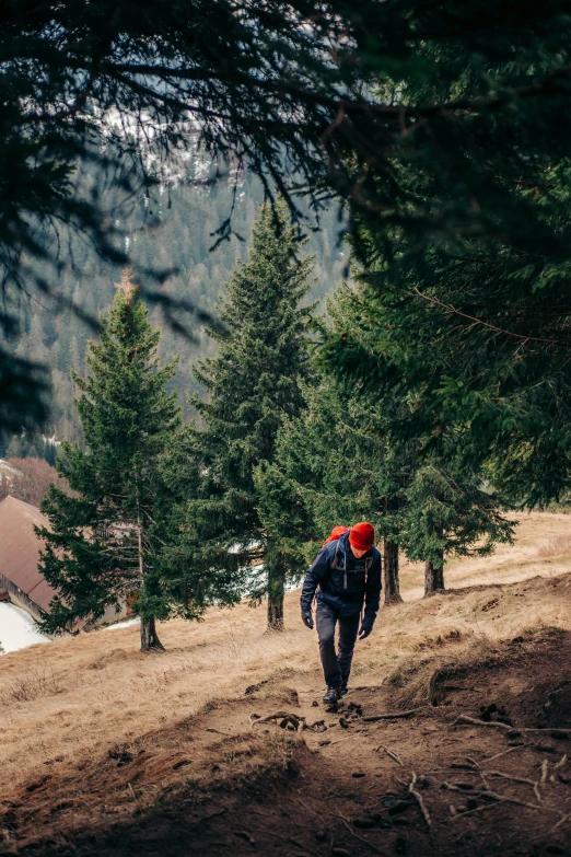 a man hiking up a dirt slope in front of trees