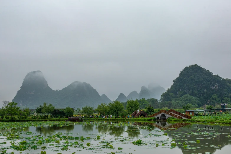 a beautiful valley with mountains covered in mist