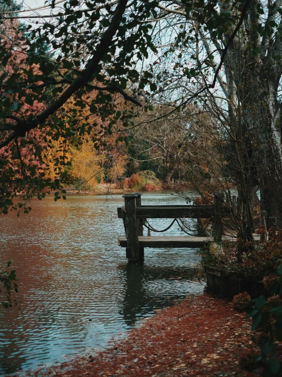 a wooden bench sitting in the middle of a body of water