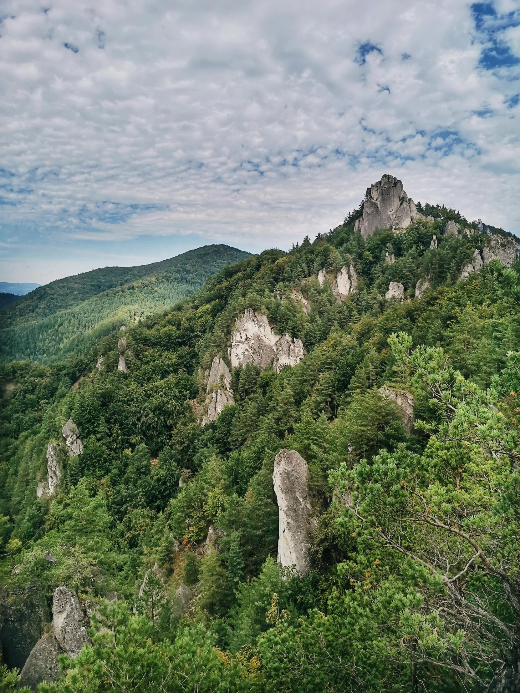 a mountain scene with tall mountains and lush vegetation