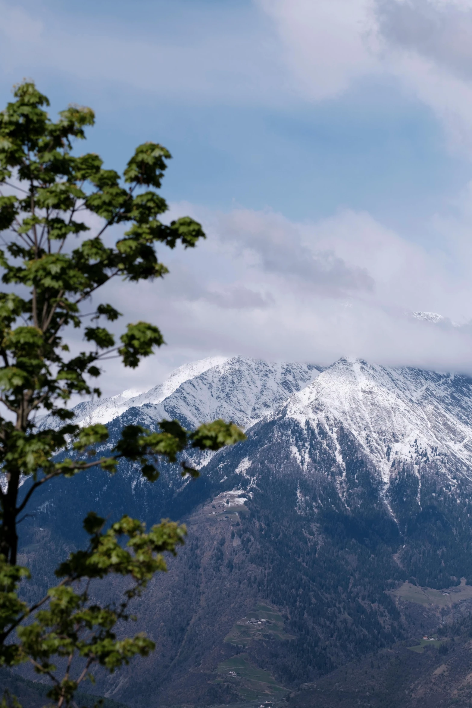 a snowy mountain with white summit on it