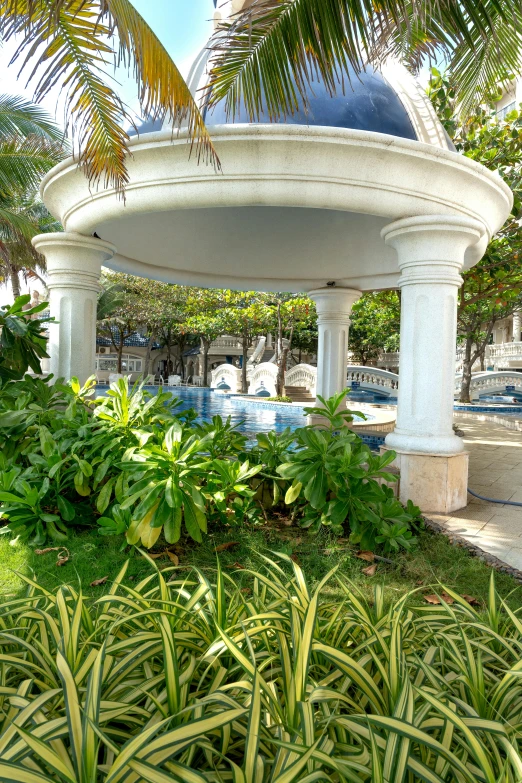 some very pretty bushes and palm trees by a big dome