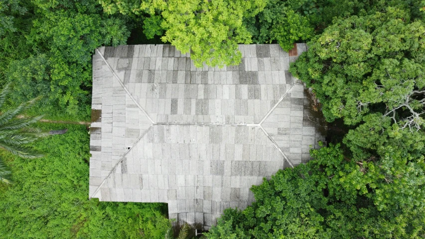 aerial view of a roof and a green forest