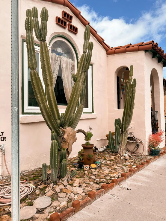 a pink stucco house with cacti and succulents