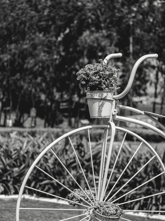 an antique bike with flowers sitting on the back wheel