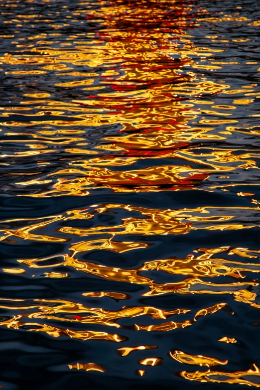 golden reflections on the surface of water