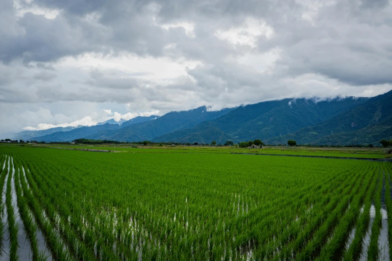 a lush green field with some mountains in the background