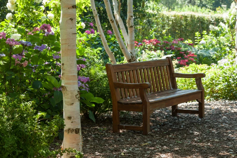 a bench sitting between two trees and some purple flowers