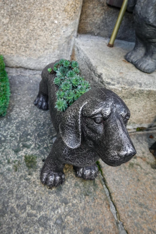 a dog statue that has a plant on it