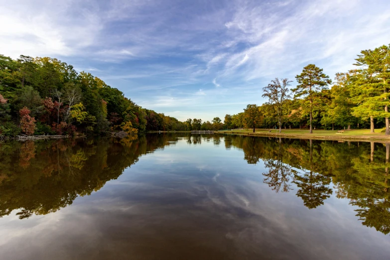 a body of water with trees around it