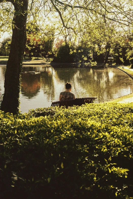 a man sitting on top of a park bench next to a pond