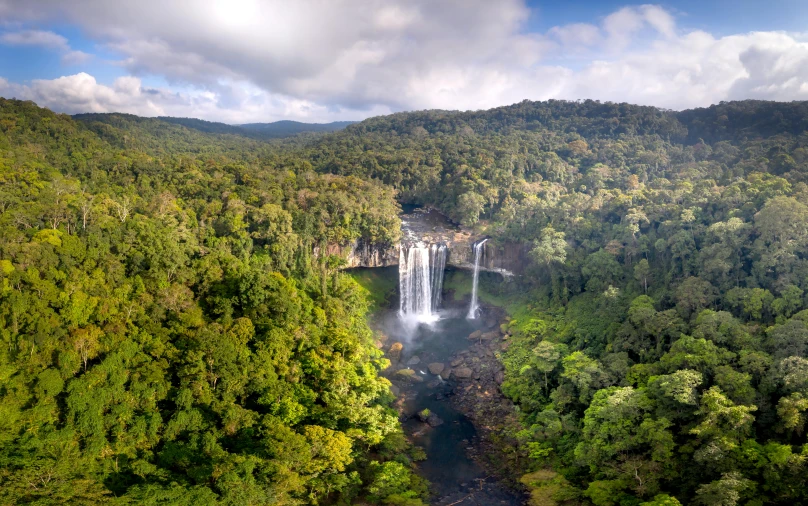 a view of a very big waterfall in the woods