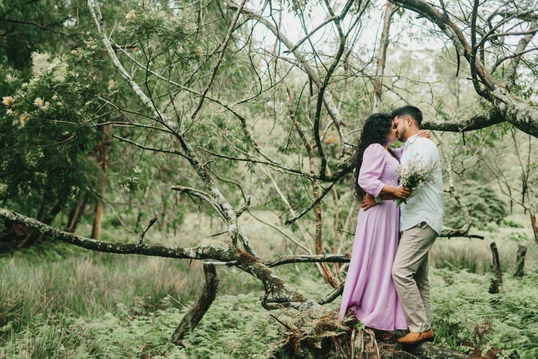 a couple posing on a fallen tree nch