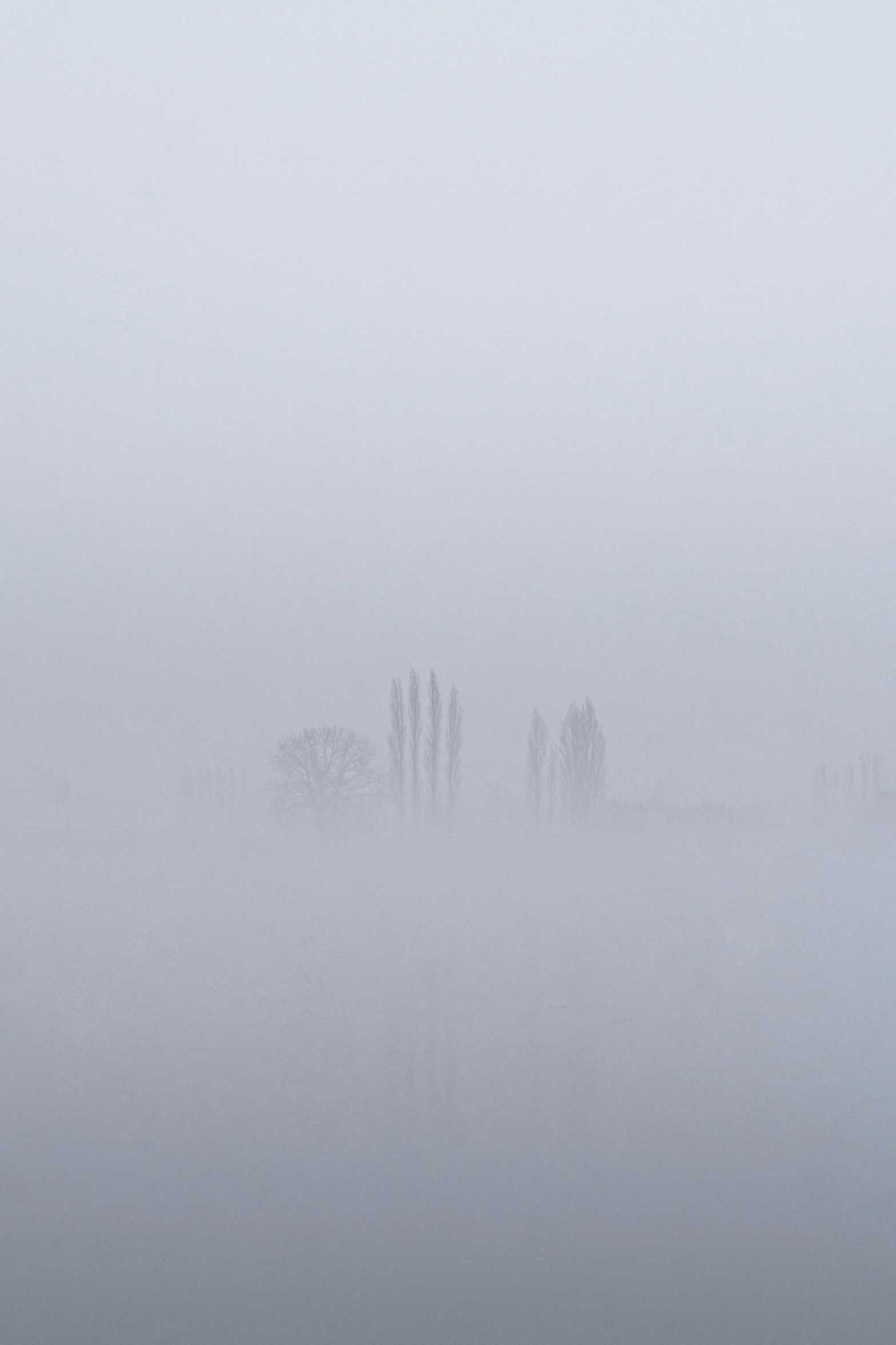 three people standing in the fog on a beach