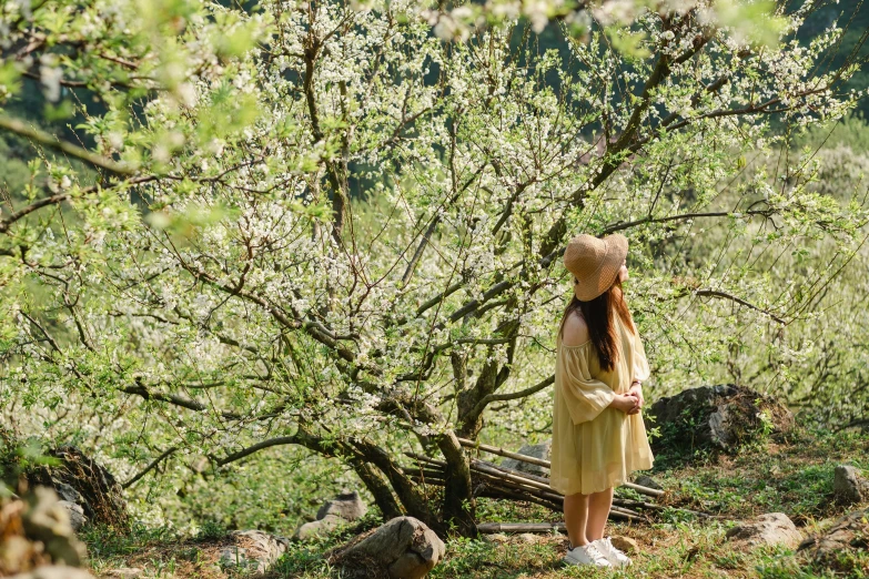 a girl in a white hat looks up at trees