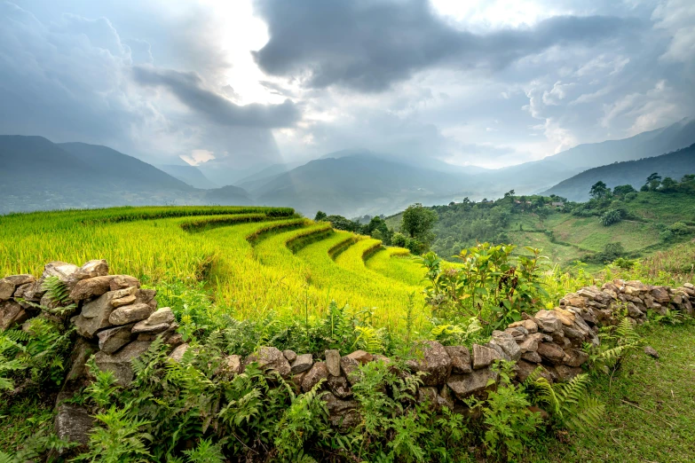 the view from across the green valley from the mountains