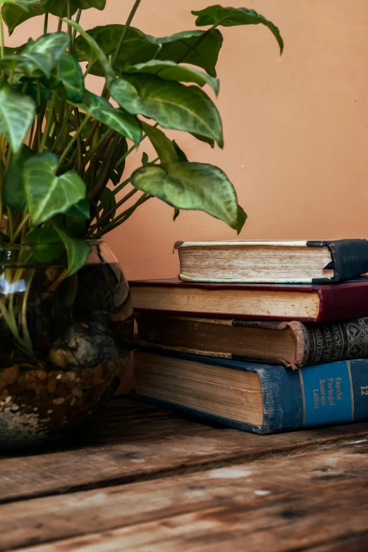 a couple of books sit on top of a table