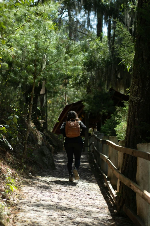 there is a person walking down the trail in the forest