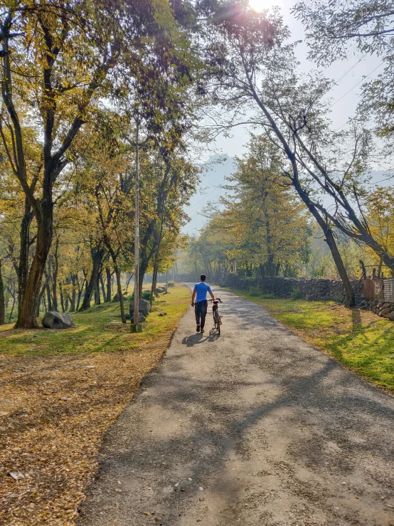 a man is walking his dog in a leaf covered dirt road