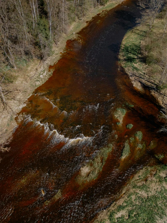 the water is brown and rusted green in color