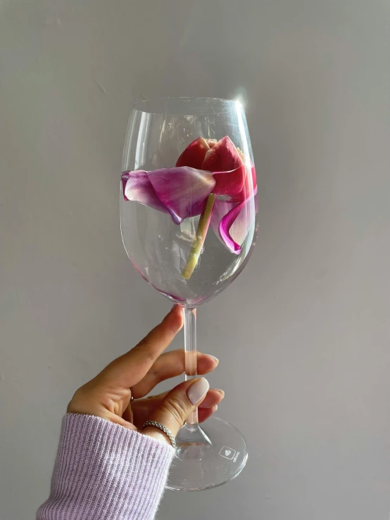 a woman holding a wine glass with a flower in it