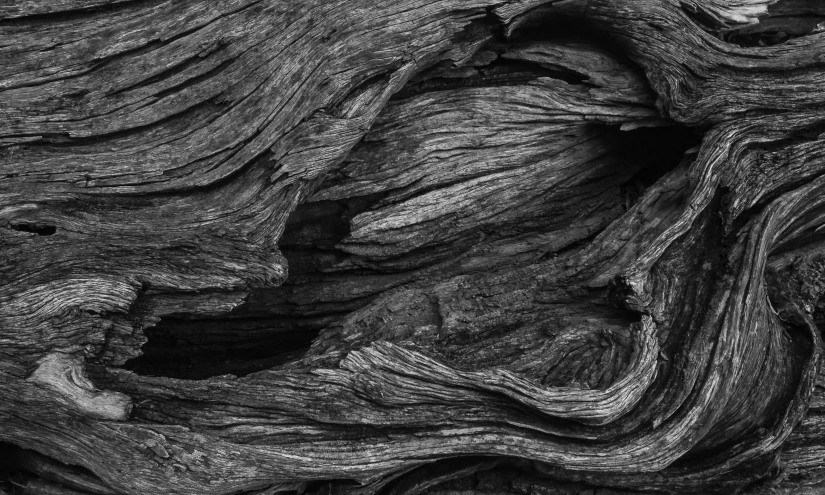 a close up of an old wood log