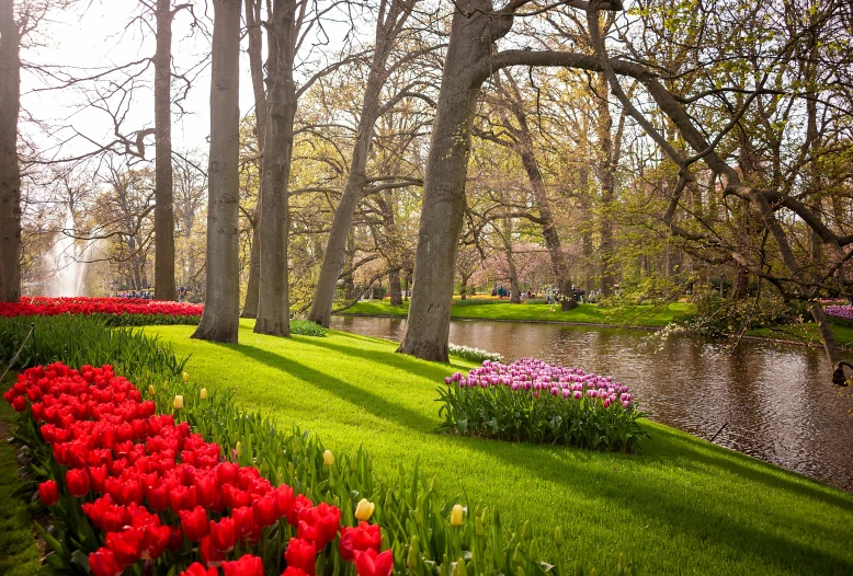 a beautiful park scene with red and pink flowers and green grass