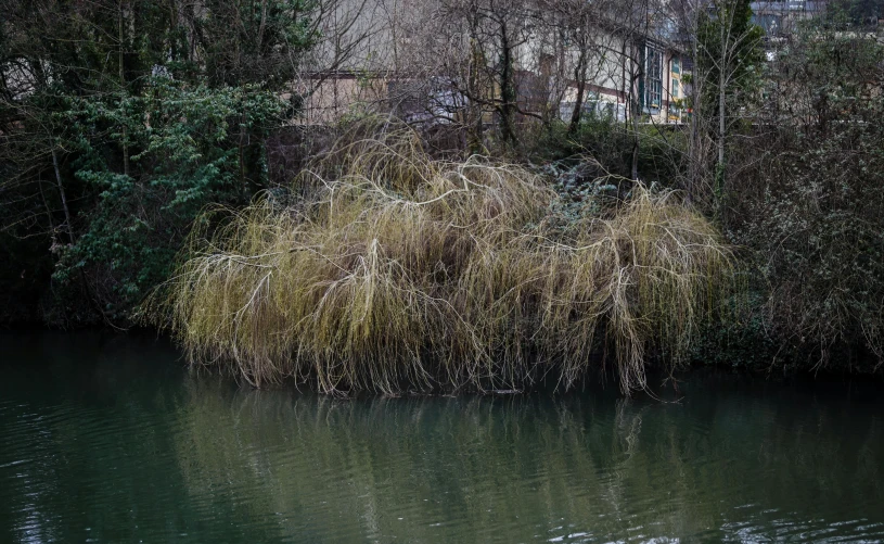 water is crystal still but the land surrounding is in the foreground